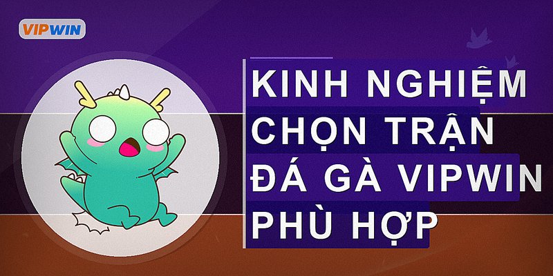 Kinh nghiệm chọn trận đá gà Vipwin phù hợp